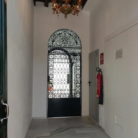 Encanto Alcazar - Ole Solutions *